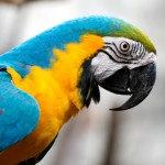 iStock_000021403136_Small TALL