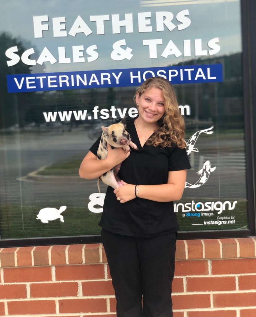 Capture Veterinarian and Animal Hospital in Westminster, MD